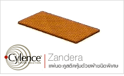 ะคสติก Cylence Zandera