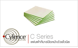 ะคสติก Cylence C Series