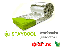 Stay Cool  ตราช้าง